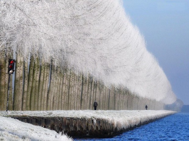 Peisaj de iarnă în Grabovica, Serbia. PC: Adme.ru