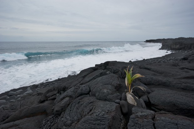  Kaimu, Hawaii PC: en.wikipedia.org