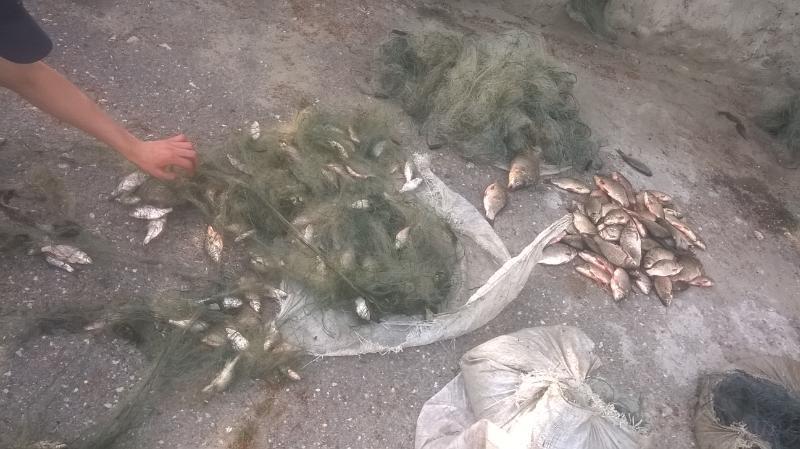 Doi bărbați au fost prinși pescuit interzis pe lacul Beleu. Aceștia au prins 20 kg de pește