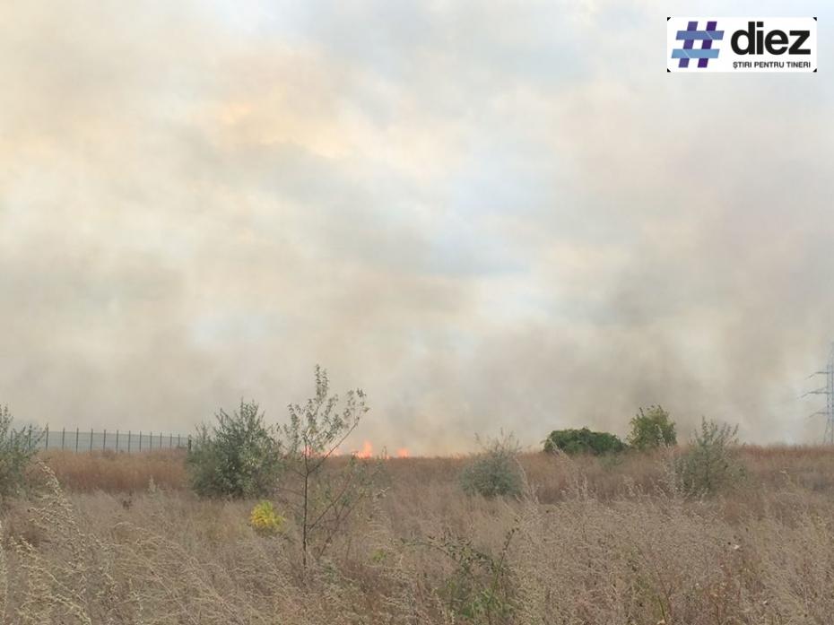 Incendiu de vegetație în apropierea magazinului Metro Stăuceni