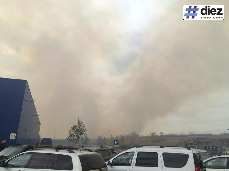 Incendiu de vegetație în apropierea magazinului Metro Stăuceni