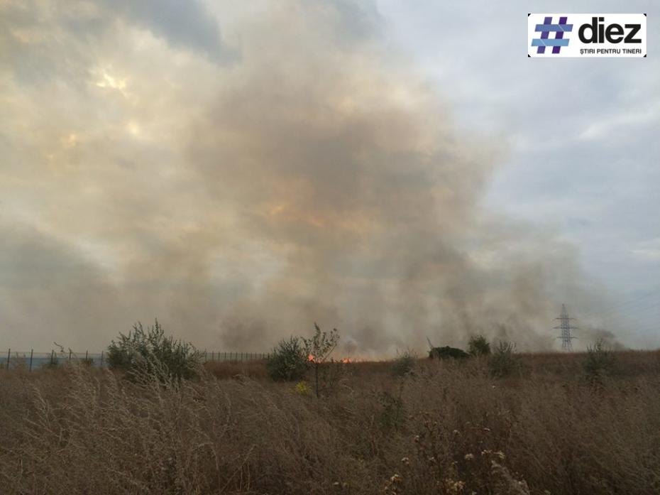 Incendiu de vegetație în apropierea magazinului Metro Stăuceni