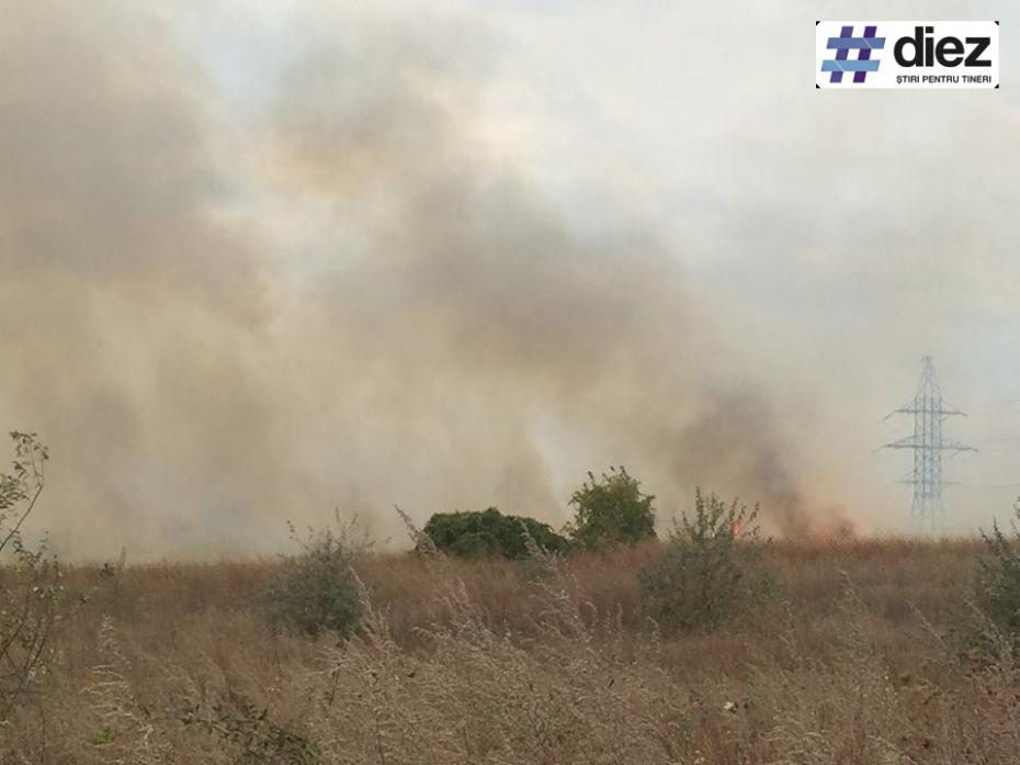 Incendiu de vegetație în apropierea magazinului Metro Stăuceni