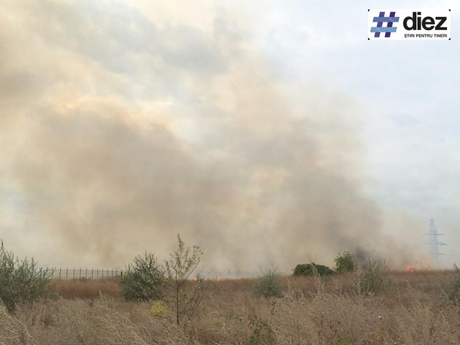 Incendiu de vegetație în apropierea magazinului Metro Stăuceni