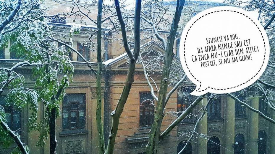 Sarcasm și ironie: Cum internauții încearcă să accepte ideea că a nins la sfârșit de aprilie