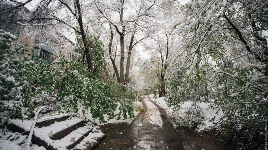 (foto) Imagini de iarnă în aprilie. Fotograful Ion Pleș a surprins Chișinăul acoperit de zăpadă