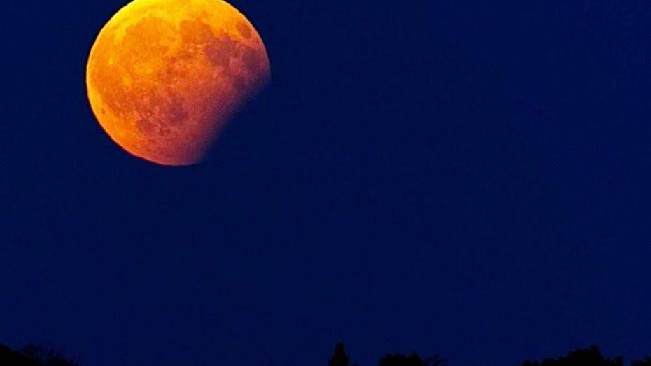 (foto) Cum s-a văzut eclipsa parțială de lună pe cerul din Chișinău și nu numai