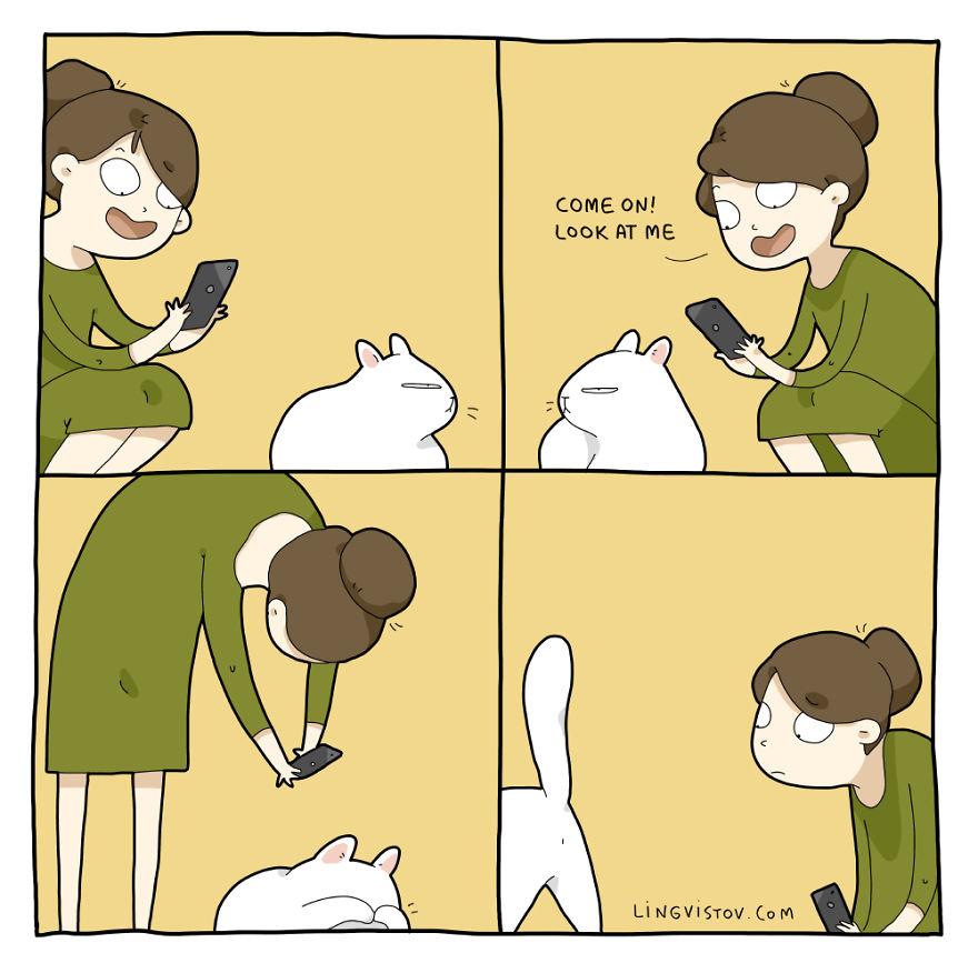 Comics-About-Life-With-A-Cat-59f1c78e5f0f9__880