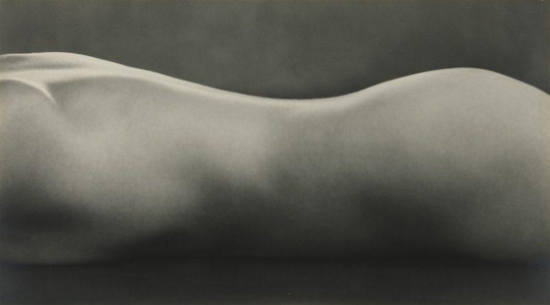 Edward_Weston-Nude-800x444