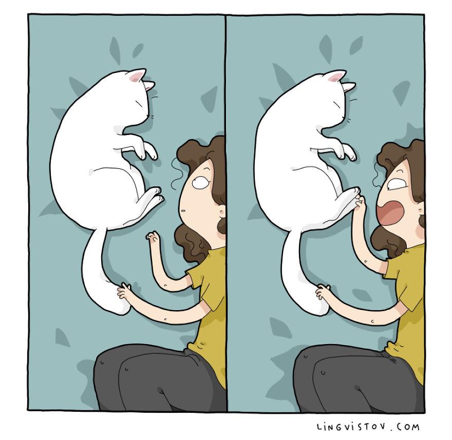 cat-comics-009-581c8d592a74d__880