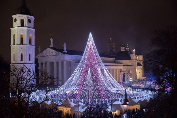 One-of-Europes-brightest-Christmas-trees-lights-up-in-Vilnius-LithuaniaThe-Lithuanian-capital (1)