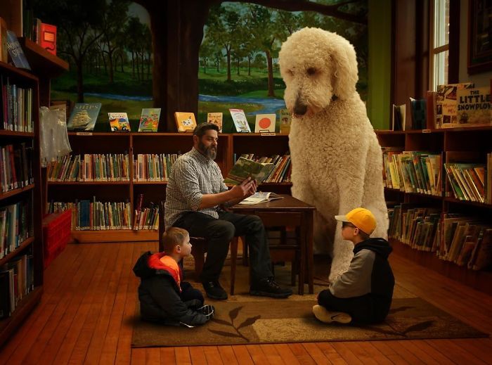 giant-dog-3