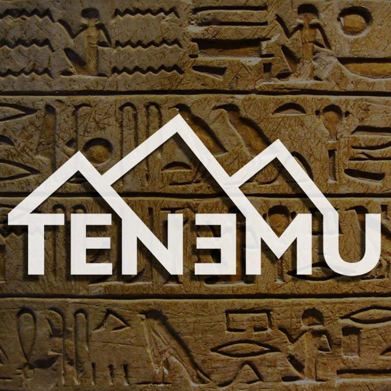 tenemu5