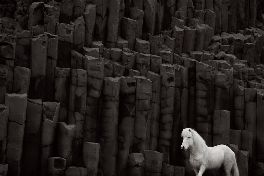 animal-photography-icelandic-horses-in-the-realm-of-legends-drew-doggett-22-5b5afbf98ba82__880