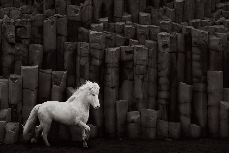 animal-photography-icelandic-horses-in-the-realm-of-legends-drew-doggett-23-5b5afbfb7f016__880