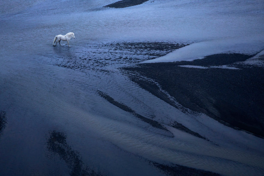 animal-photography-icelandic-horses-in-the-realm-of-legends-drew-doggett-29-5b5afc06e4e11__880