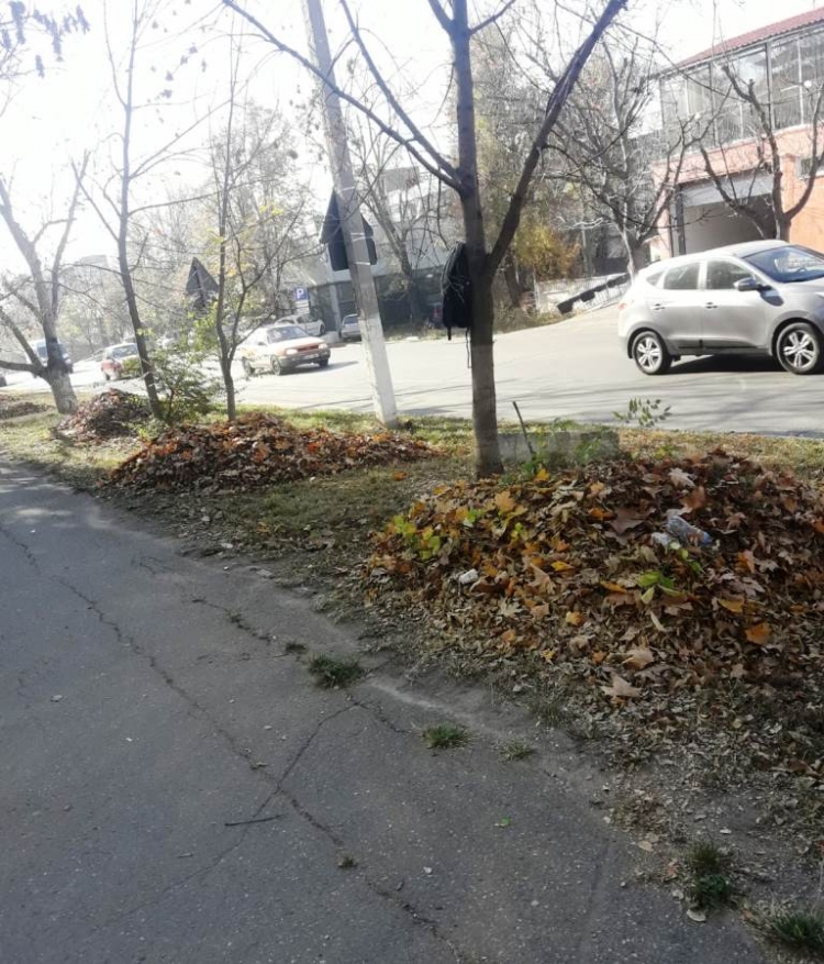 Frunziș Chișinău