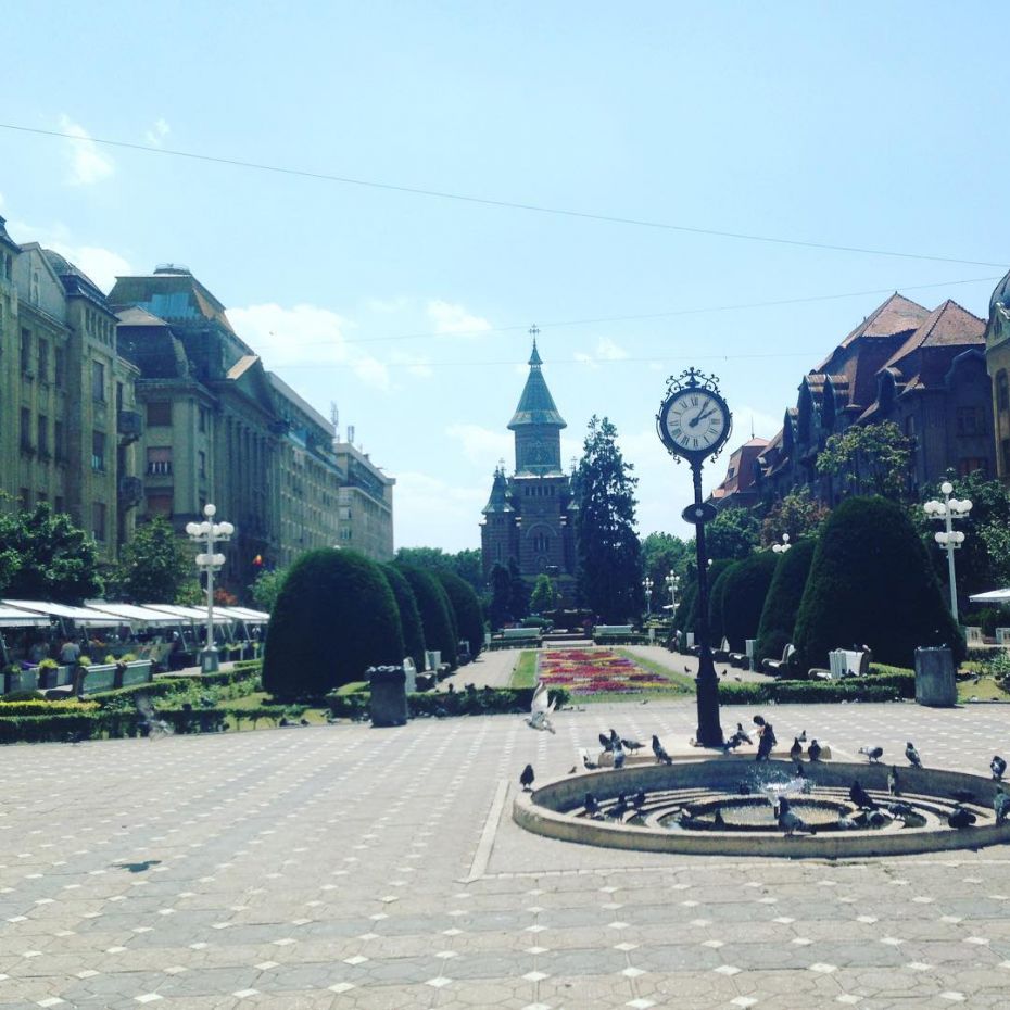 timisoara1