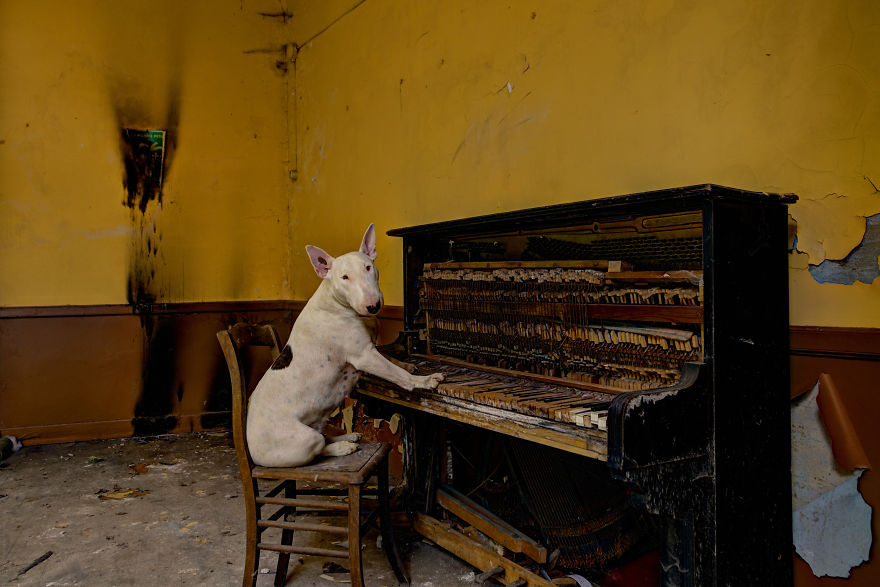 me-and-my-dog-explore-abandoned-places-across-europe-5__880