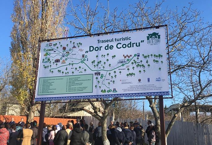 dor de codru