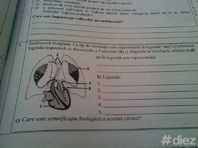 BAC 2013: Testul la biologie plasat pe internet