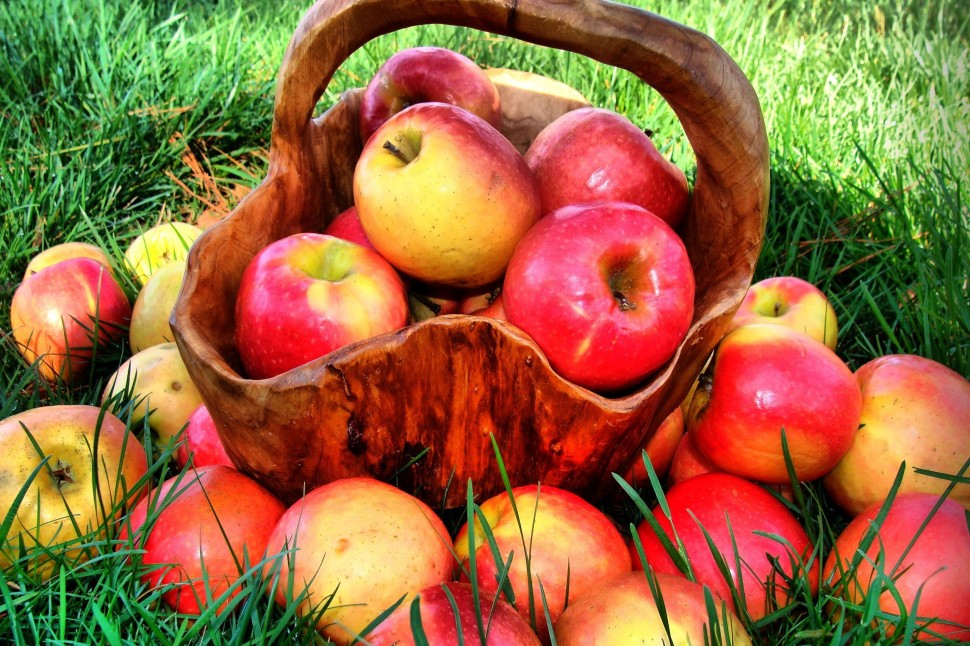 Summer-Grass-Red-Apple-Fruit-646×970