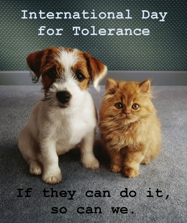 tolerance-1