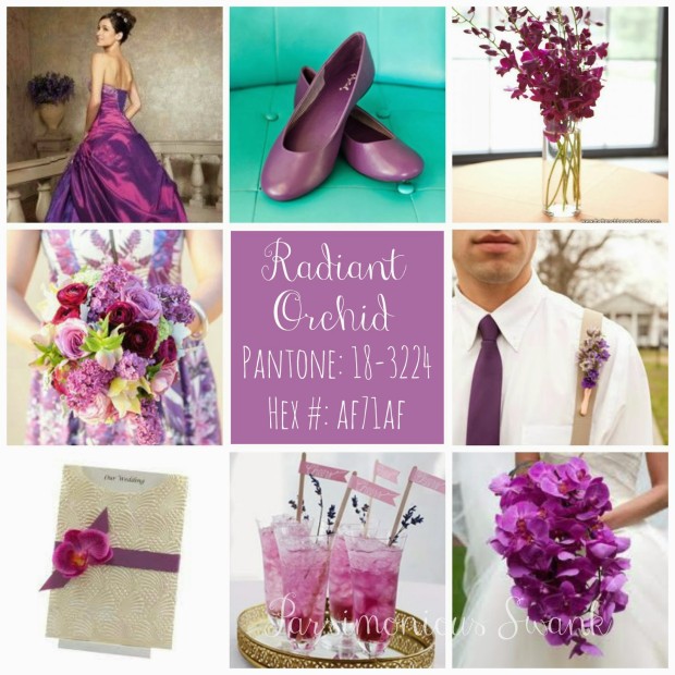 Radiant Orchid