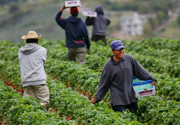 farmLabor