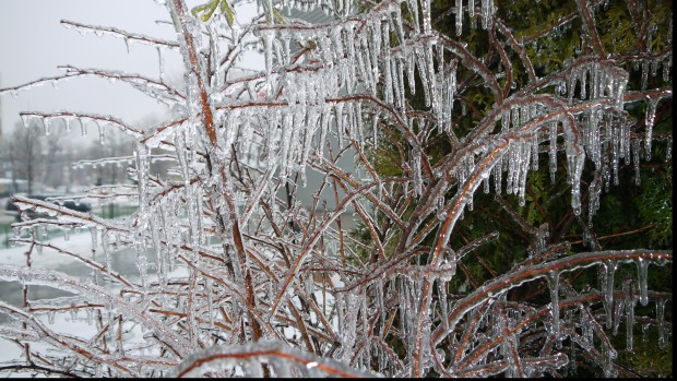 freeezing_rain_in_bucuresti_polei_in_bucuresti_iarna_zapada_viscol_cod_portocaliu_114_30064800