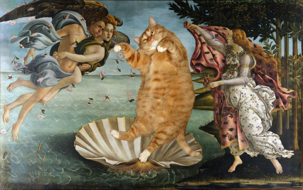 fat-cat-photoshopped-into-famous-artworks-14