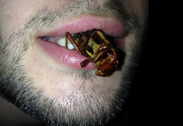 Andrei mănâncă un gândac PC: Andrei Haret