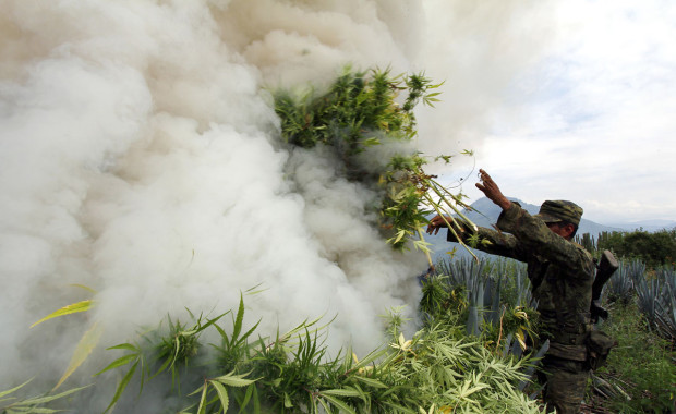 TOPSHOTS-MEXICO-DRUG-OPERATION