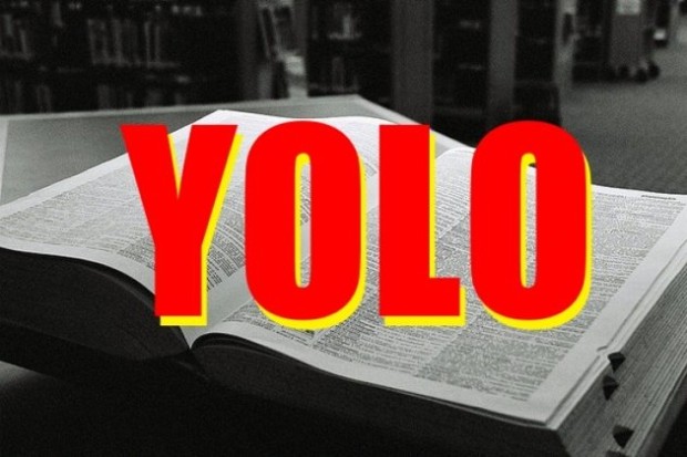 yolo-17-752×501