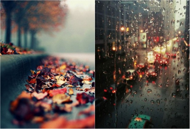 Foto 25 De Fotografii Pentru Ca Să Iubim Ploaia Toamna Aceasta