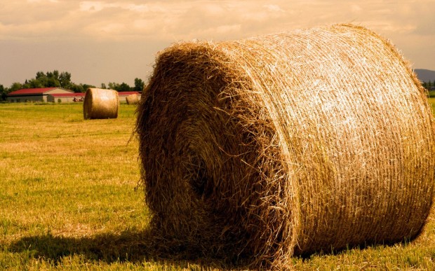 straw_bale_hay_field_nature_1920x1200_hd-wallpaper-3025