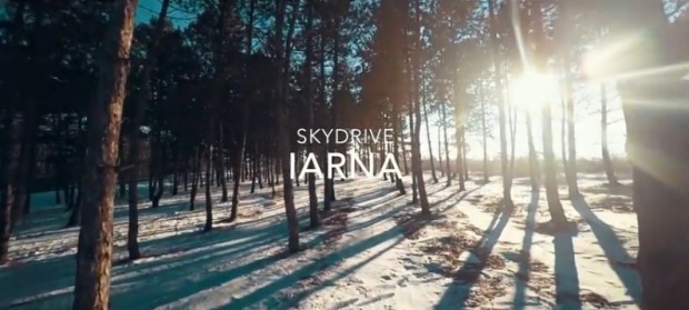 iarna