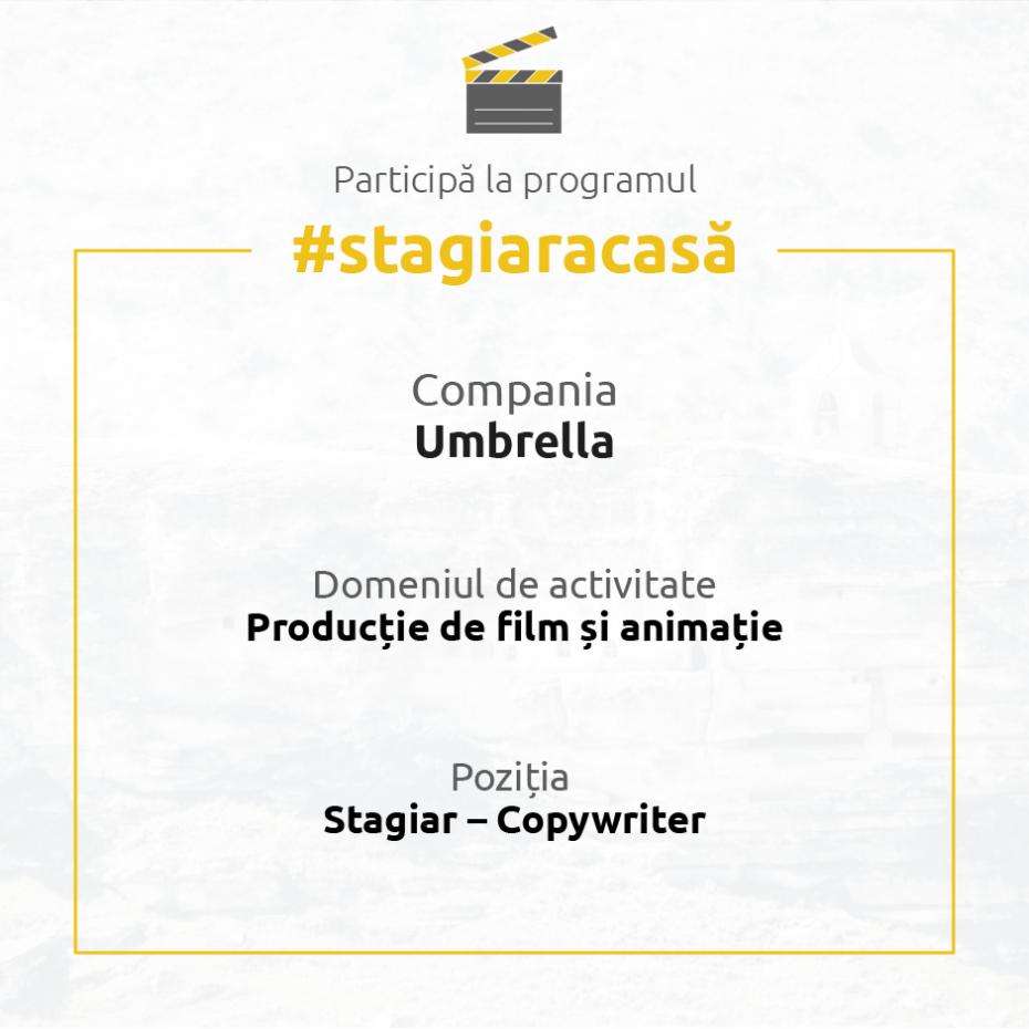 stagiu6