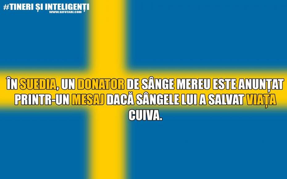 Tineri și Inteligenți – comunitatea care te învață lucruri care nu se predau la școală