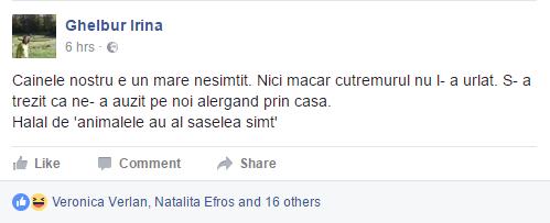 Cele Mai Amuzante Statusuri Pe Facebook Legate De Cutremurul Din