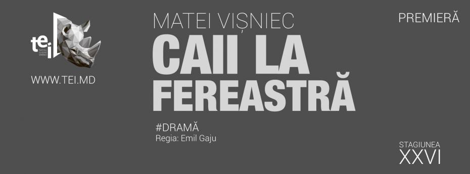 caii-la-fereastra-1