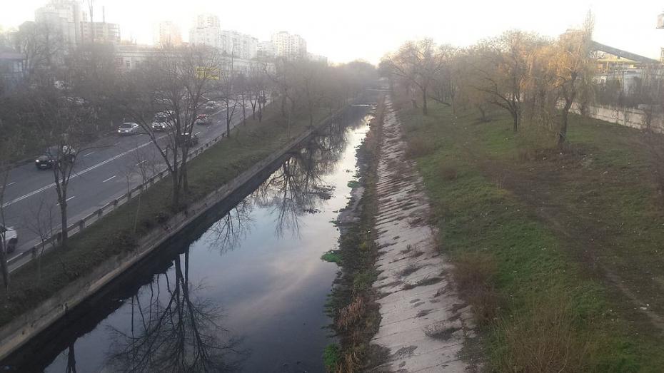 Concluzia autorităților: Apa de culoare verde și albastră din râul Bâc nu dăunează mediului