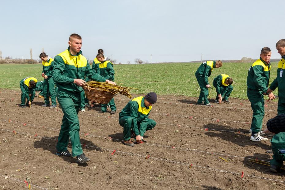 (foto) Europa pentru Moldova: Elevii a două școli profesionale din Moldova vor întreține 4 hectare de salcie energetică