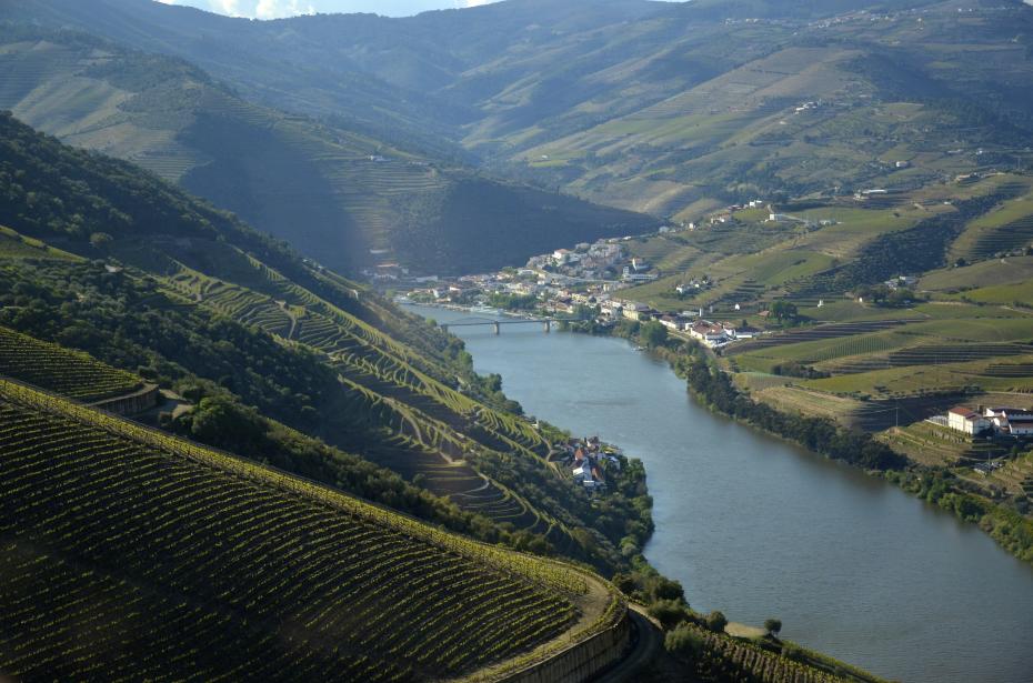 Douro Valley, Portugal