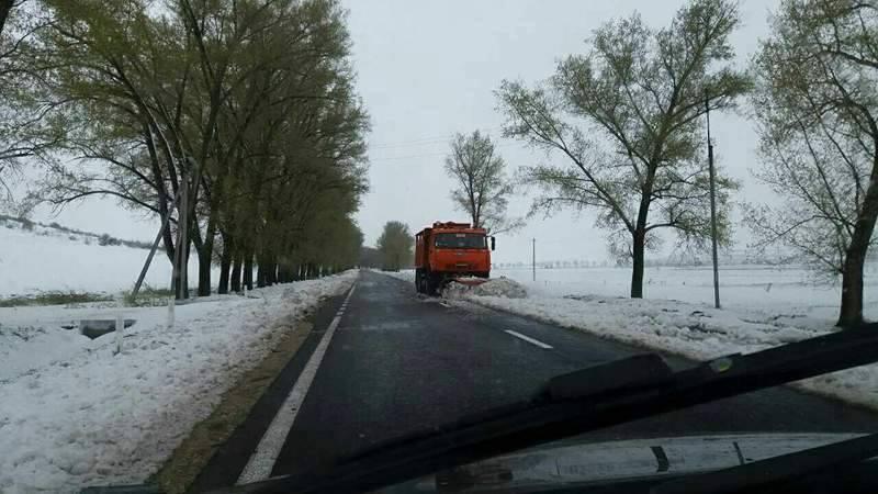 Toate cursele auto spre raioanele din sudul țării au fost reluate. Gările activează în regim obișnuit