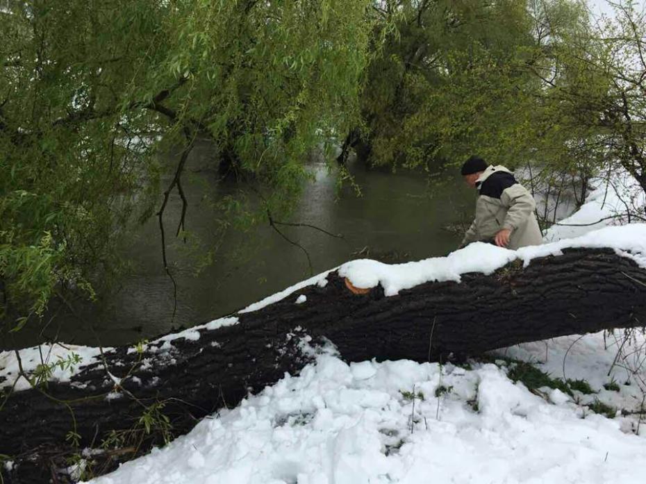 (foto, video) Autoritățile lucrează la curățirea albiei râului Bâc. Există riscul inundării zonei Gării de Nord