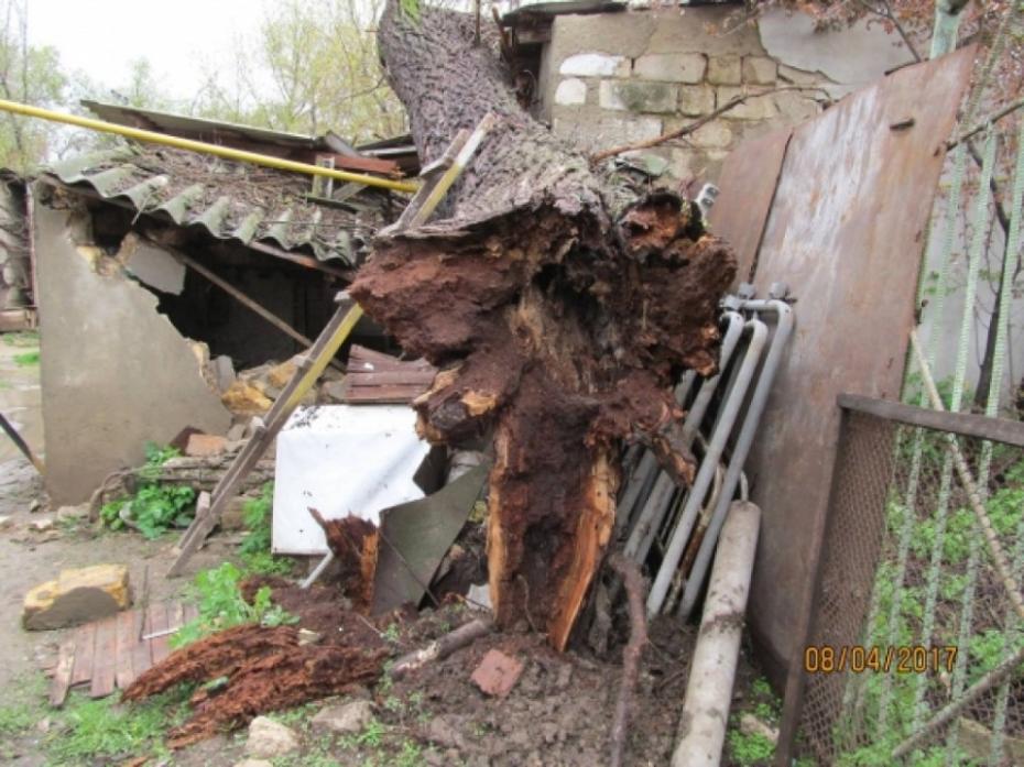 (foto) În Ceadîr-Lunga un copac a căzut peste o anexă gospodărească