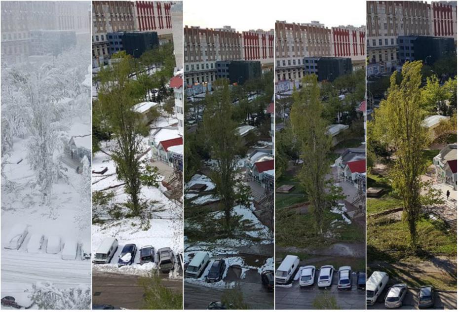 (foto) Time-lapse: De la o iarnă cumplită la o primăvară fermecătoare în doar 5 zile de aprilie