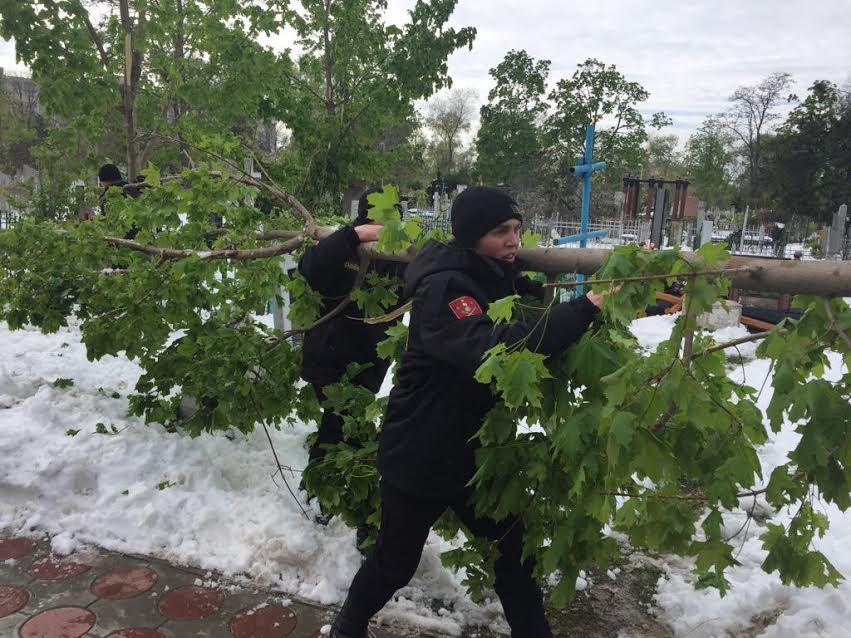 Situația în Chișinău la această oră: Peste 300 de voluntari au participat la acţiunile de evacuare a crengilor rupte