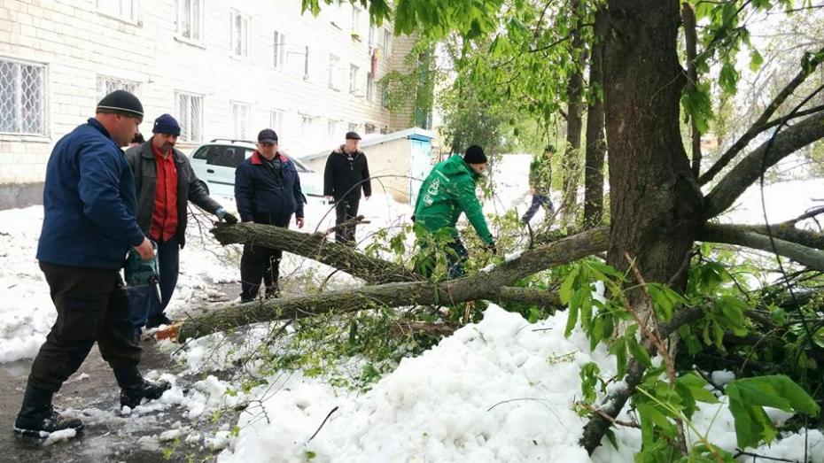 PC: Dumitru Ciorbă 